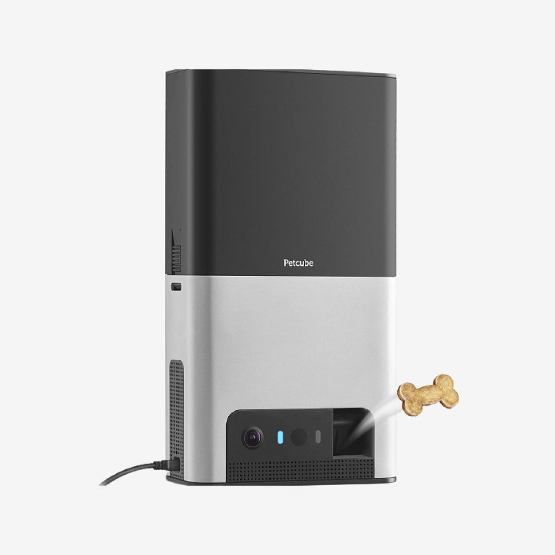 Petcube treats clearance