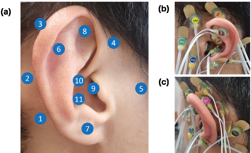 Samsung's 'Mind-Reading' Earable Detects Your Preferences with 92.85% Accuracy