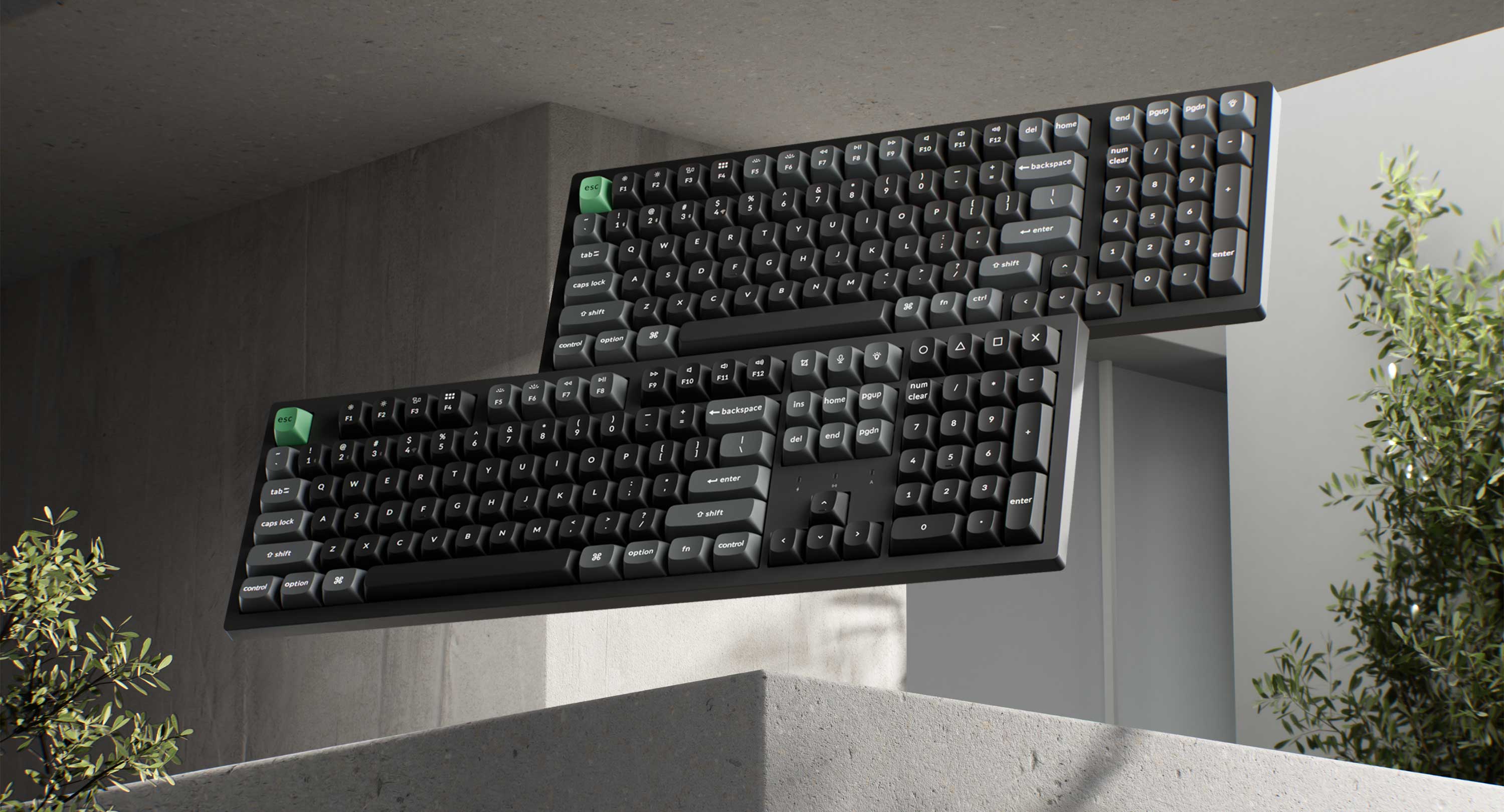 Alt text for the image
