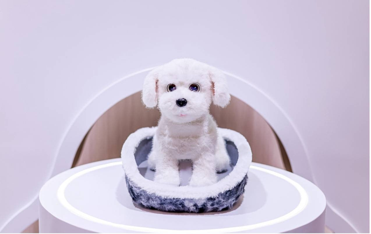 Beyond the Vacuum: How ECOVACS is Engineering the Future of Embodied AI