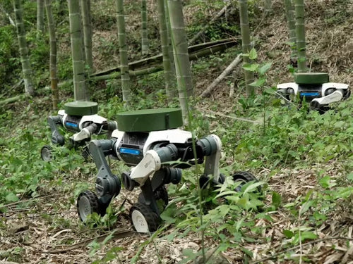 DeepRobotics Unveils the Lynx S10: A Compact Wheeled-Legged Robot with 8m/s Speed and Superior Agility