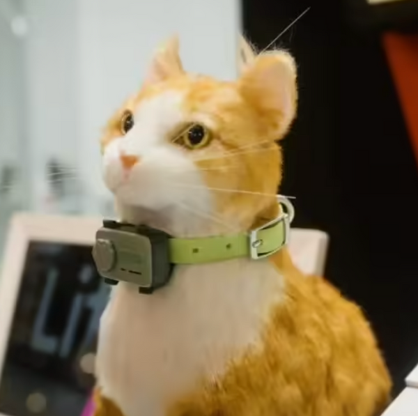 GlocalMe  PetPhone