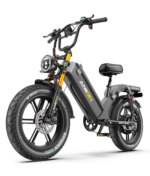 Aniioki AQ177 Pro Max Ultra eBike