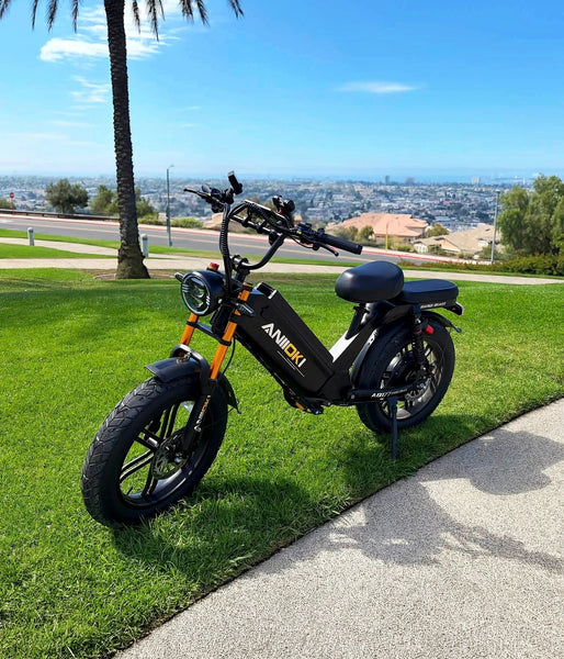Aniioki AQ177 Pro Max Ultra eBike