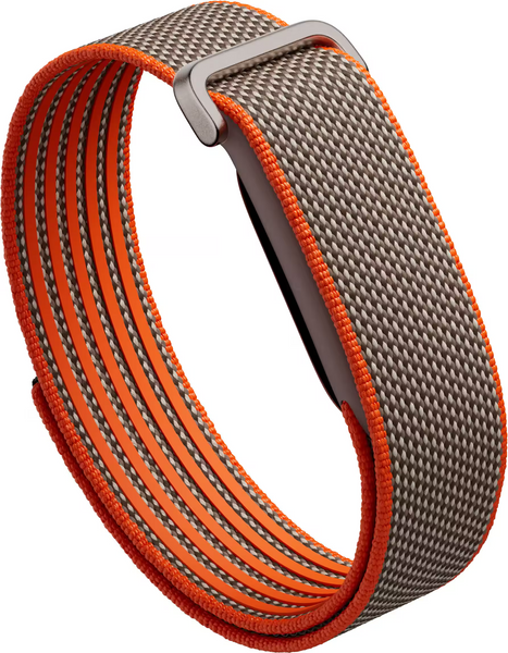 Google Fitbit Air Screenless Fitness Tracker