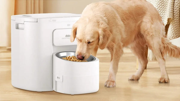 Dokoo Automatic Dog Feeder
