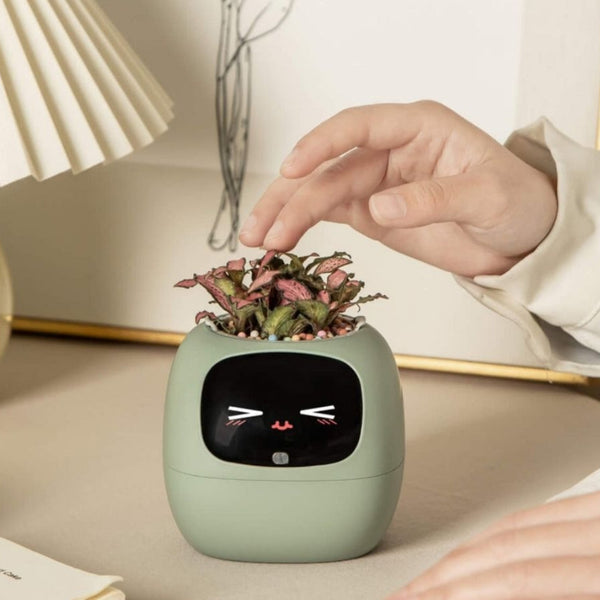 PlantsIO Ivy Gen 2