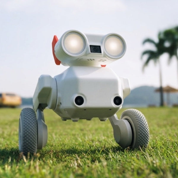 Beni All-Terrain Camera Robot
