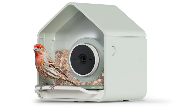 Birdbuddy Nook Smart Bird Feeder