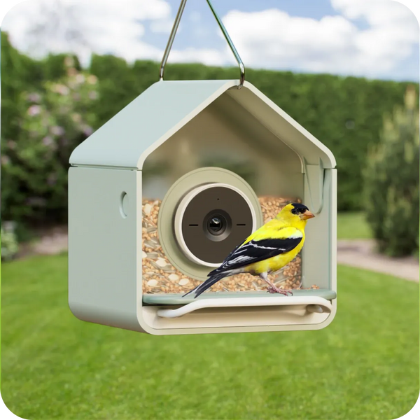 Birdbuddy Nook Smart Bird Feeder