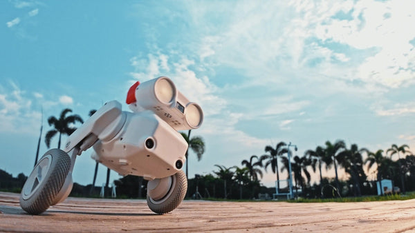 Beni All-Terrain Camera Robot