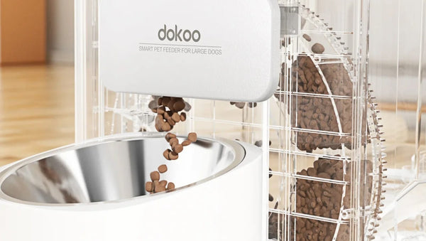 Dokoo Automatic Dog Feeder