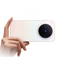 vivo X300