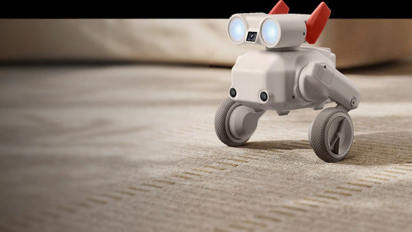 Beni All-Terrain Camera Robot