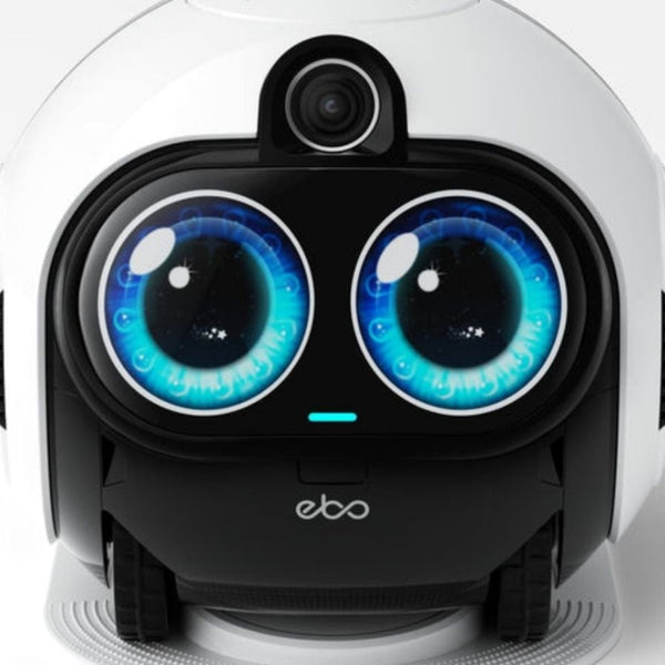 Enabot EBO Max FamilyBot