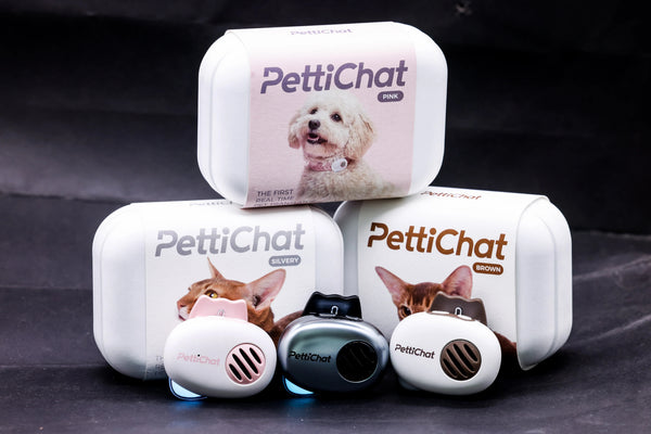 PettiChat Real-Time Two-Way Pet Translator