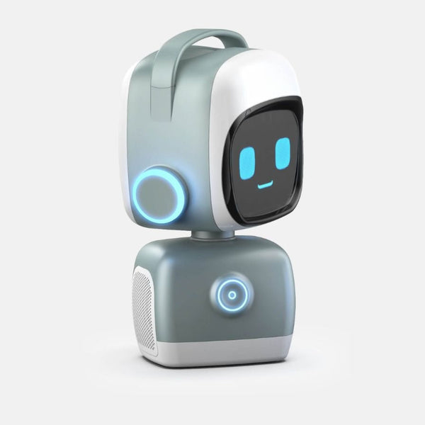 Norby Language Robot
