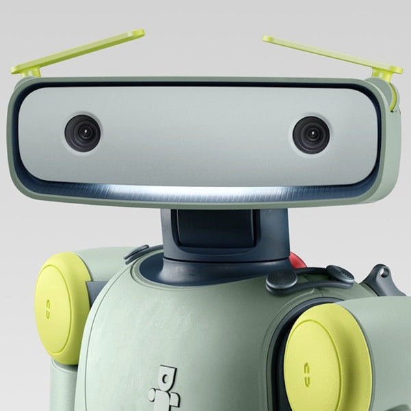 Sprout Humanoid Robot