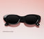 Meta AI Glasses