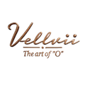 Vellvii logo 120x120 fill