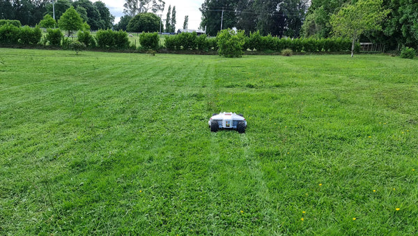 Luba AWD 5000: Perimeter Wire Free Robot Lawn Mower - Free Trial & Review - Heyup Tryouts